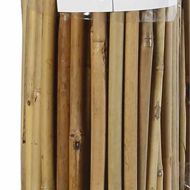 Bambusz termesztő karó (3) 1,2 m