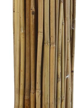 Bambusz termesztő karó (4) 0,9 m