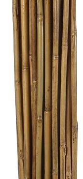 Bambusz termesztő karó 2,1 m