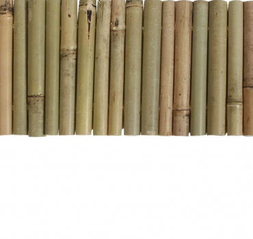 Bamboo Border ágyáskerítés 0,35x1 m